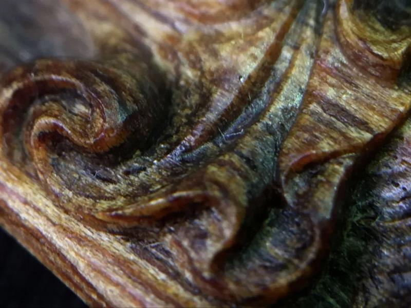 什麼是奇楠？,時代沉香