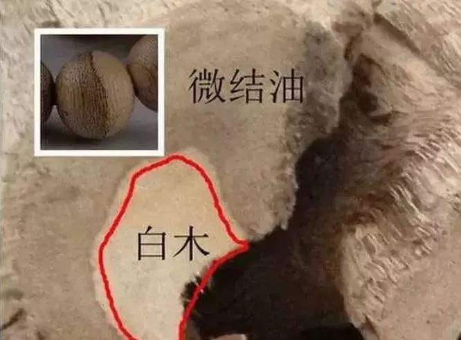 沉香為什麼會沒有味道？,時代沉香